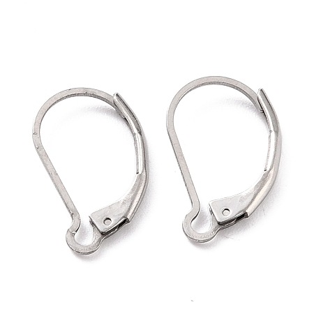 Honeyhandy 304 Stainless Steel Leverback Earring Findings, Stainless Steel Color, 16.5x10x2mm, Pin: 1mm