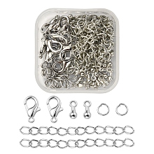 Honeyhandy DIY End Chain Making Kit, Including Alloy Charms & Clasps, Iron Ends Chains & Jump Rings, Platinum, 80pcs/box