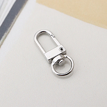 Honeyhandy Alloy Swivel Clasps, Lanyard Push Gate Snap Clasps, Platinum, 3.3x1.3x0.5cm, Hole: 10x7mm