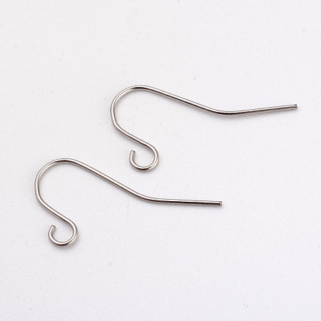 Beebeecraft Honeyhandy 316L Surgical Stainless Steel Earring Hooks, Ear  Wire, with Horizontal Loop, Stainless Steel Color, 17x8mm, Hole: 1.6mm,  Pin