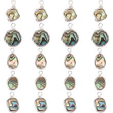 SUPERFINDINGS 20pcs 5 Styles Platinum Natural Abalone Shell Pendants Paua Shell Pendants Sea Shell Pendant with Eco-Friendly Copper Wire Wrapped for Jewelry Making