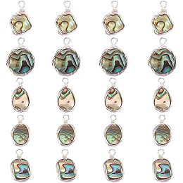 SUPERFINDINGS 20pcs 5 Styles Platinum Natural Abalone Shell Pendants Paua Shell Pendants Sea Shell Pendant with Eco-Friendly Copper Wire Wrapped for Jewelry Making