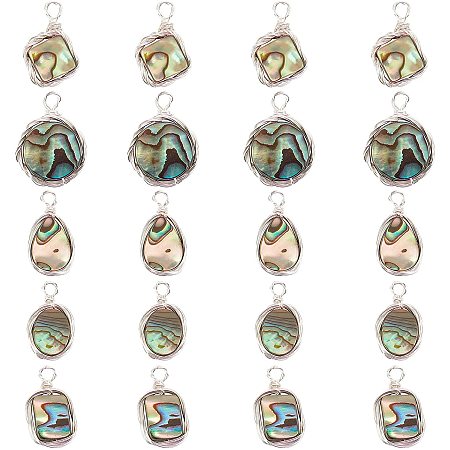 SUPERFINDINGS 20pcs 5 Styles Platinum Natural Abalone Shell Pendants Paua Shell Pendants Sea Shell Pendant with Eco-Friendly Copper Wire Wrapped for Jewelry Making