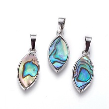 Honeyhandy Abalone Shell/Paua Shell Pendants, with Brass Findings, Horse Eye, Platinum, 24.5x11.5x3mm, Hole: 4.5x8mm