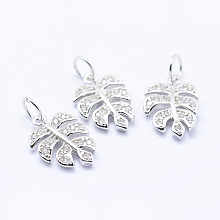 Honeyhandy Brass Micro Pave Cubic Zirconia Charms, Tropical Leaf Charms, Monstera Leaf, Lead Free & Nickel Free & Cadmium Free, Platinum, 14x9.5x2mm, Hole: 3mm