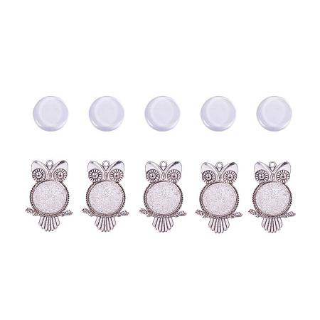 ARRICRAFT 5 Sets Antique Silver 25x4.5mm Dome Transparent Glass Cabochons and 55x35mm Owl Alloy Pendant Cabochon Settings for DIY