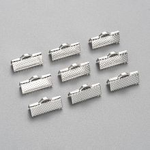 Honeyhandy Iron Ribbon Crimp Ends, Silver Color Plated, about 8mm long, 16mm wide, Hole: 1mm