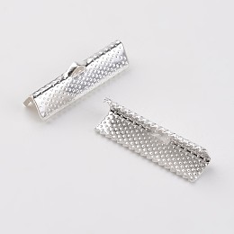 Honeyhandy Iron Ribbon Crimp Ends, Silver Color Plated, 8x25mm, Hole: 1mm