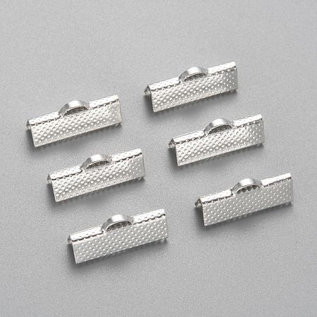 Honeyhandy Iron Ribbon Crimp Ends, Silver Color Plated, 8x20mm, Hole: 2mm