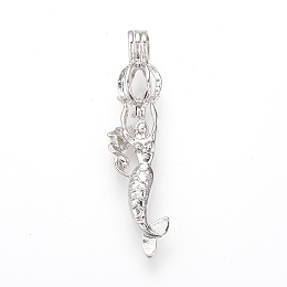 Honeyhandy Alloy Diffuser Locket Pendants, Big Cage Pendants, Mermaid, Platinum, 54x11x9mm, Hole: 3.5x5mm, Inner Measure: 7mm