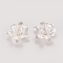 Honeyhandy 3D Brass Bead Caps, Flower, Multi-Petal, Silver Color Plated, Tray: 5mm, 16x6.5mm, Hole: 0.8mm