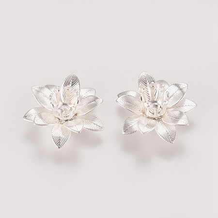 Honeyhandy 3D Brass Bead Caps, Flower, Multi-Petal, Silver Color Plated, Tray: 5mm, 16x6.5mm, Hole: 0.8mm