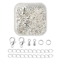 DIY End Chain Making Kit, Including Alloy Charms & Clasps, Iron Ends Chains & Jump Rings, Silver, 80pcs/box