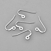 Honeyhandy 304 Stainless Steel French Earring Hooks, Flat Earring Hooks, Ear Wire, with Horizontal Loop, Silver, 12x22x0.9mm, Hole: 2mm, Pin: 0.9mm