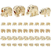 PandaHall Elite 40Pcs 4 Style Rack Plating Alloy Beads, Cadmium Free & Lead Free, Elephant, Light Gold,8.5~12.5x12~17x4.5~6mm, Hole: 1~1.8mm, 10pcs/style