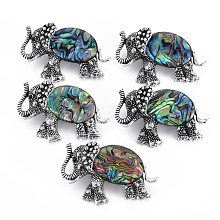 Honeyhandy Elephant Alloy Rhinestone Brooch, Natural Paua Shell Lapel Pin with Loop for Backpack Clothes Pendant Jewelry, Cadmium Free & Lead Free, Antique Silver, Colorful, 29x46x14mm, Hole: 7x4mm, Pin: 0.7mm