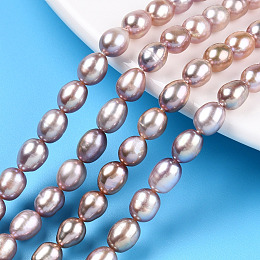 Honeyhandy Natural Cultured Freshwater Pearl Beads Strands, Rice, Thistle, 6.5~7.5x5~5.7mm, Hole: 0.7~0.8mm, about 55~56pcs/strand, 14.57 inch(37cm)