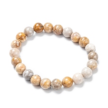 Honeyhandy Natural Fossil Coral Stretch Beaded Bracelets, Round, Inner Diameter: 2-1/8 inch(5.5cm), Beads: 8~9mm