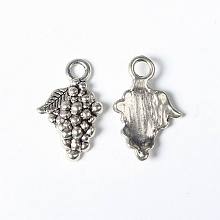 Honeyhandy Tibetan Style Alloy Pendants, Lead Free and Cadmium Free, Antique Silver, 12mm wide, 18mm long, hole: 2.5mm