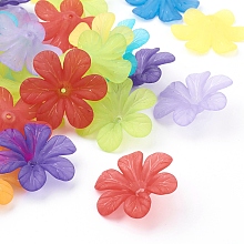 Honeyhandy Mixed Color Transparent Frosted Acrylic Flower Beads, about 33mm in diameter, 8mm thick, Hole: 1.5~2mm