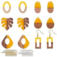 OLYCRAFT DIY Dangle Earring Making Kits, include Resin & Walnut Wood Pendants, Brass Earring Hooks, Brass Jump Rings, Mixed Shapes, Golden & Silver, Pendants: 12pcs/box