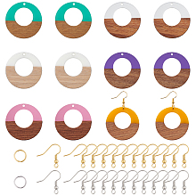 Olycraft DIY Dangle Earring Making Kits, with Resin & Wood Pendants, Brass Earring Hooks & Jump Rings, Ring, Mixed Color