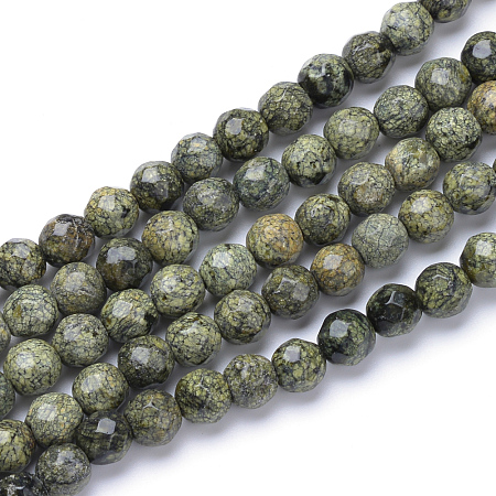 ARRICRAFT Natural Serpentine/Green Lace Stone Bead Strands, Faceted Round, 6mm, Hole: 1mm, about 70pcs/strand, 15.7 inches
