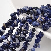 Arricraft Nuggets Natural Blue Spot Stone Bead Strands, 4~6x8~12x2~4mm, Hole: 1mm, about 34.6 inches