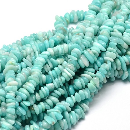 Arricraft Natural Amazonite Chip Beads Strands, 5~14x4~10mm, Hole: 1mm, about 15.5 inches~16.1 inches