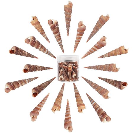 SUNNYCLUE Spiral Shell Beads, Turritella Shell, Undrilled/No Hole Beads, Coconut Brown, 32~67x8.5~16.5x9~17mm; about 120g/box