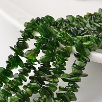 ARRICRAFT Chip Natural Diopside Bead Strands, Grade A+, 10~13x5~7x2~3mm, Hole: 1mm, about 15.7 inches