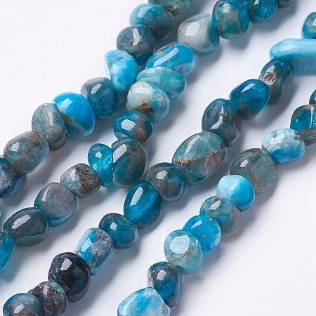 ARRICRAFT Natural Apatite Beads Strands, Chip, 4~9x4~7mm, Hole: 1mm, 15.5 inches(39.5cm)