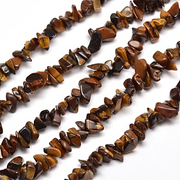 ARRICRAFT Natural Tiger Eye Chip Bead Strands, 5~8x5~8mm, Hole: 1mm, about 31.5 inches