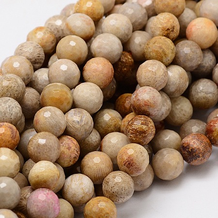 Arricraft Faceted Round Natural Chrysanthemum Stone/Fossil Coral Bead Strands, 8mm, Hole: 1mm, about 50pcs/strand, 15.3 inches