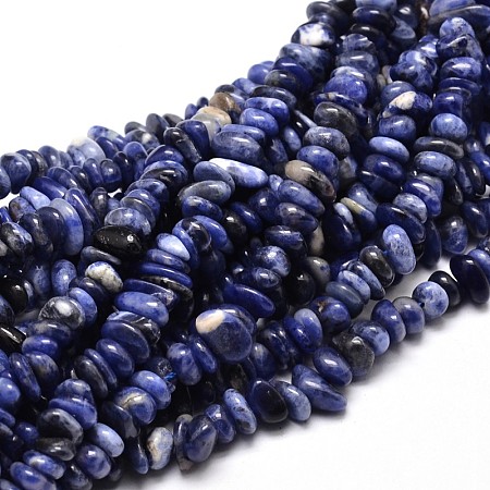 ARRICRAFT Natural Sodalite Chip Beads Strands, 4~14x4~12mm, Hole: 1mm, about 15.3 inches~16.1 inches