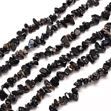 Arricraft Natural Black Onyx Chip Bead Strands, Black Agate Dyed & Heated, 5~8x5~8mm, Hole: 1mm; about 31.5 inches