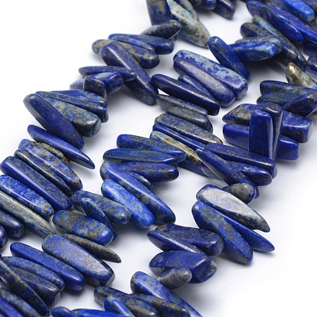 Arricraft Natural Lapis Lazuli Beads Strands, Chip, 11~24x6~8mm, Hole: 1mm, 15.3 inches(39cm)