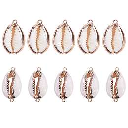 SUNNYCLUE Electroplate Cowrie Shell Links, with Cowrie Shell Pendants, Golden, 23~30x13~19x10~13mm, hole: 1.5mm; 28~30x14~16x7.5mm, hole: 1.5mm; 10pcs/box