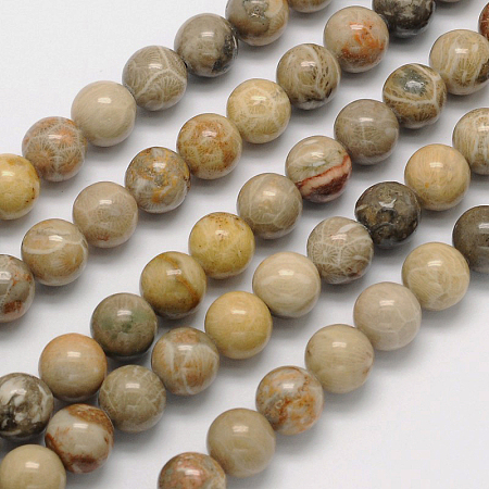 Arricraft Natural Chrysanthemum Stone/Fossil Coral Round Bead Strands, 8mm, Hole: 1mm, about 49pcs/strand, 15.5 inches