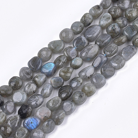ARRICRAFT Natural Labradorite Beads Strands, Nuggets, 8~19x8~12x4~8mm, Hole: 0.8mm, about 37pcs/strand, 15.9 inches