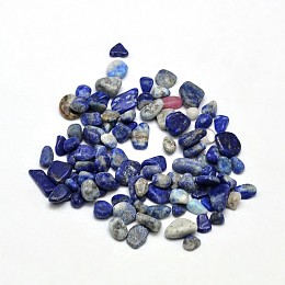 Arricraft Lapis Lazuli Chip Beads, No Hole/Undrilled, 5~8x3~4mm, about 86pcs/20g