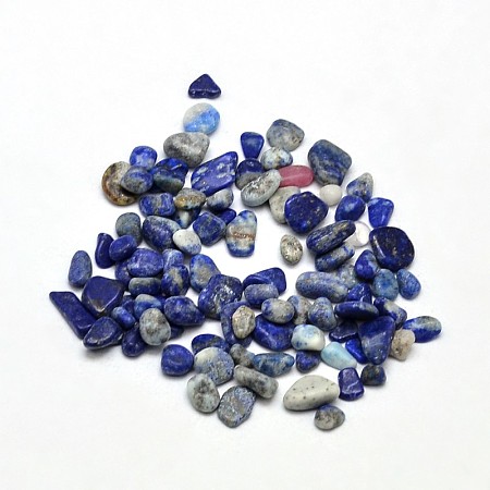 Arricraft Lapis Lazuli Chip Beads, No Hole/Undrilled, 5~8x3~4mm, about 86pcs/20g