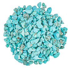 Dyed Natural Turquoise Chip Beads, No Hole/Undrilled, 3~9x1~4mm, 300g