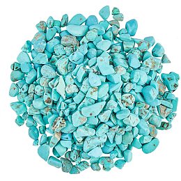 Dyed Natural Turquoise Chip Beads, No Hole/Undrilled, 3~9x1~4mm, 300g