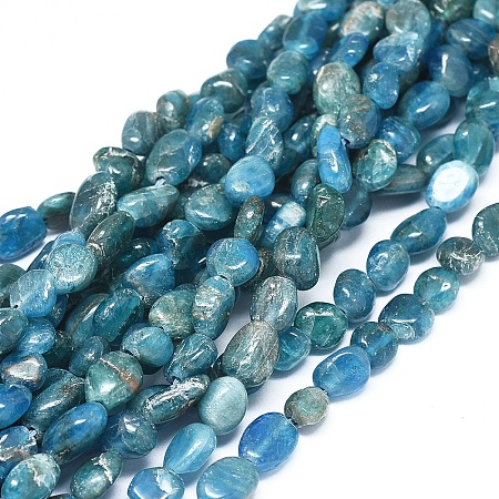 ARRICRAFT Natural Apatite Beads Strands, Chip, 6~10x5~7x3~4.5mm, hole: 0.7mm, about 55pcs/Strand, 15.94 inches(40.5cm)