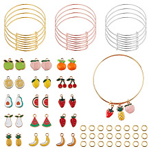 SUNNYCLUE DIY Bangle Making Kits, with Fruits Alloy Enamel Pendants and Adjustable Brass Expandable Bangle Makings, Mixed Color, 3/4 inch(70mm), 2mm, 12pcs/set