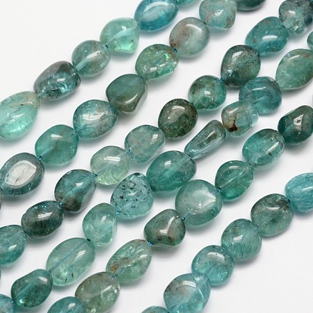 ARRICRAFT Natural Apatite Bead Strands, Nuggets, 6~12x6~13mm, Hole: 1mm, about 15.74 inches