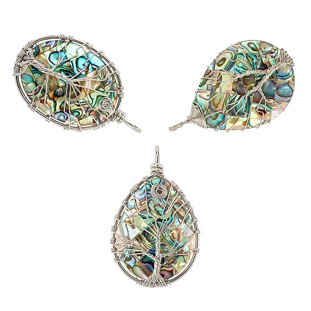 SUNNYCLUE Natural Abalone Shell/Paua Shell Wire Wrapped Big Pendants, with Brass Findings, teardrop, & Oval with Tree, 48~57.5x30~36x7.5~10mm, Hole: 3.5~6.5mm, 3pcs/set