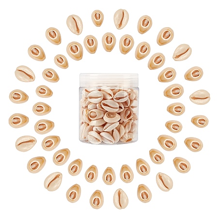 SUNNYCLUE Natural Mixed Cowrie Shell Beads, Cowrie Shells, PapayaWhip, 18~20x13~14x6~8mm; about 200g/box