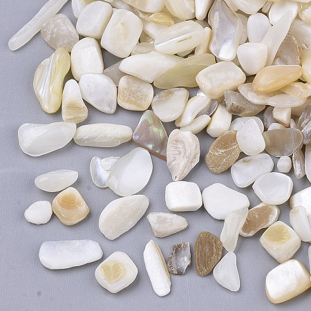 Honeyhandy Freshwater Shell Beads, Undrilled/No Hole Beads, Chip, Seashell Color, 1~16x1~5x0.5~5mm